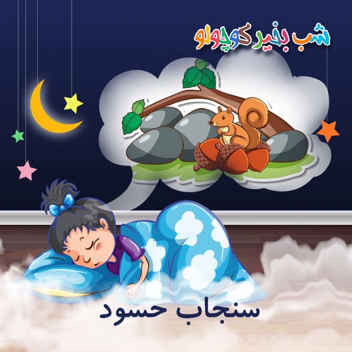 جلد کتاب صوتی سنجاب حسود