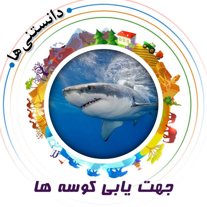 جلد کتاب صوتی جهت‌ یابی کوسه‌ ها