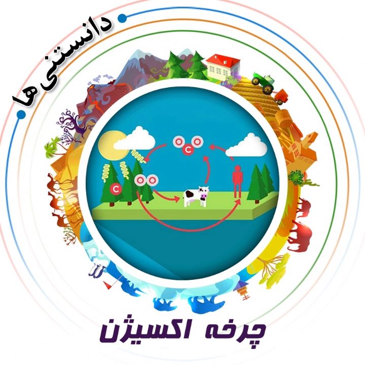 جلد کتاب صوتی چرخه‌ اکسیژن