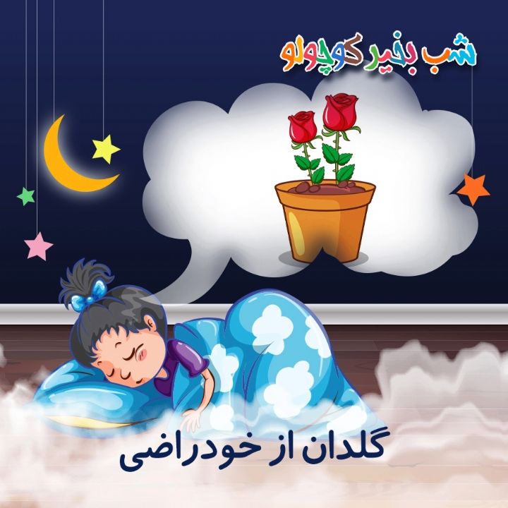 جلد کتاب صوتی گلدان از خودراضی