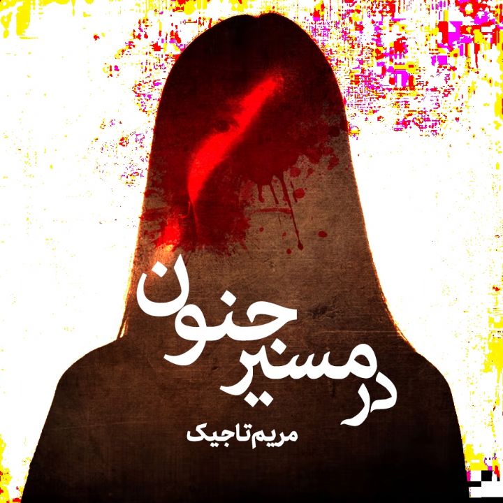 جلد کتاب صوتی در مسیر جنون
