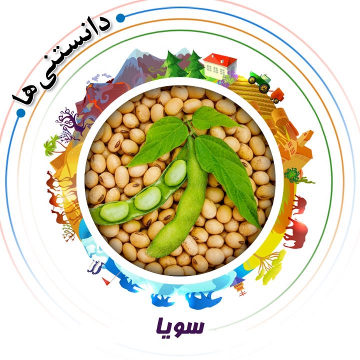 جلد کتاب صوتی سویا