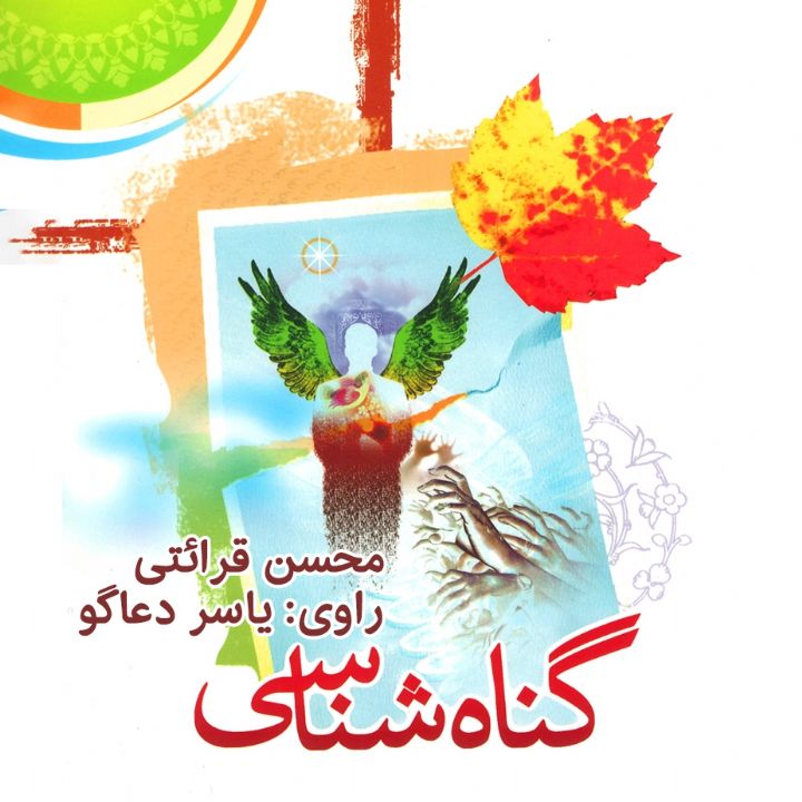 جلد کتاب صوتی گناه شناسی