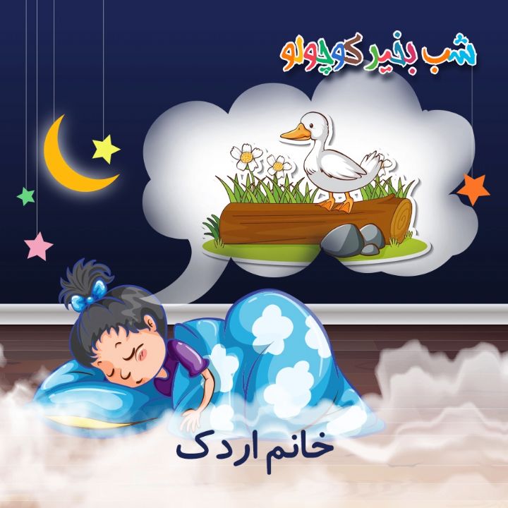 جلد کتاب صوتی خانم اردک