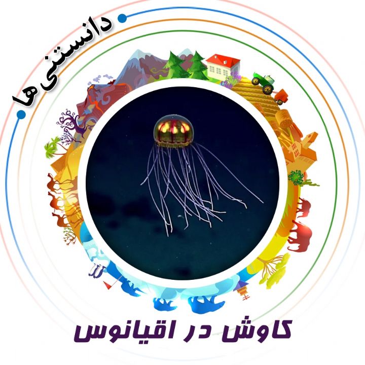 جلد کتاب صوتی کاوش در اقیانوس‌