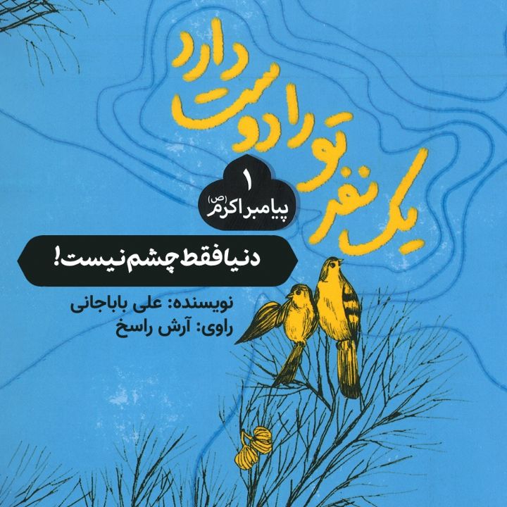 جلد کتاب صوتی دنیا فقط چشم نیست!