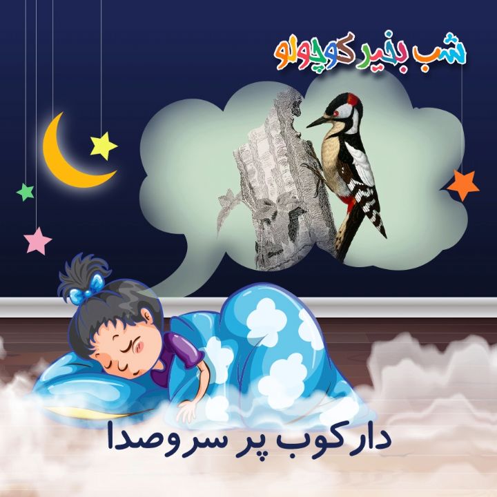 جلد کتاب صوتی دارکوب پر سروصدا