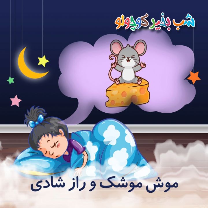 جلد کتاب صوتی موش موشک و راز شادی (586087)