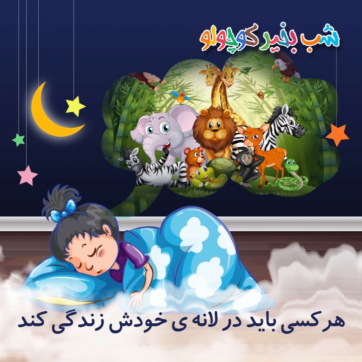 جلد کتاب صوتی هرکسی باید در لانه ی خودش زندگی کند