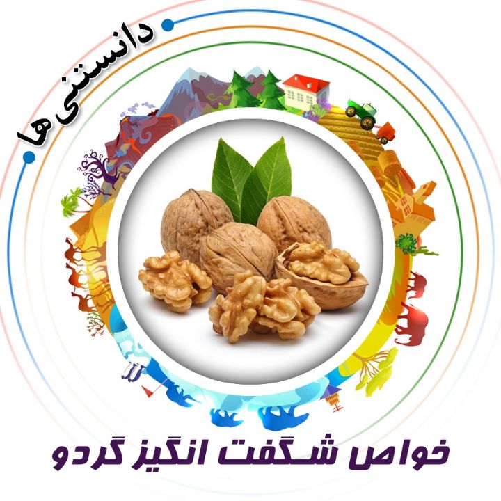 جلد کتاب صوتی خواص شگفت انگیز گردو