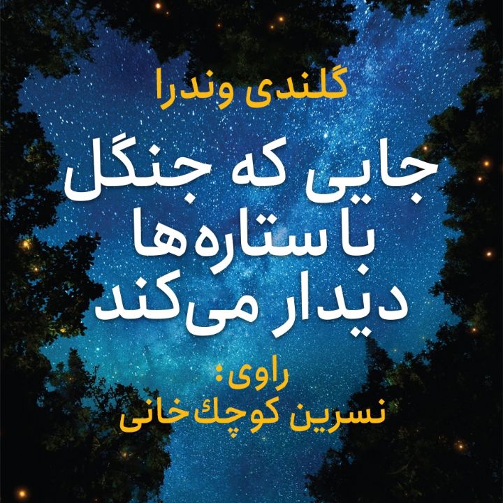 جلد کتاب صوتی جایی که جنگل با ستاره ها دیدار می کند