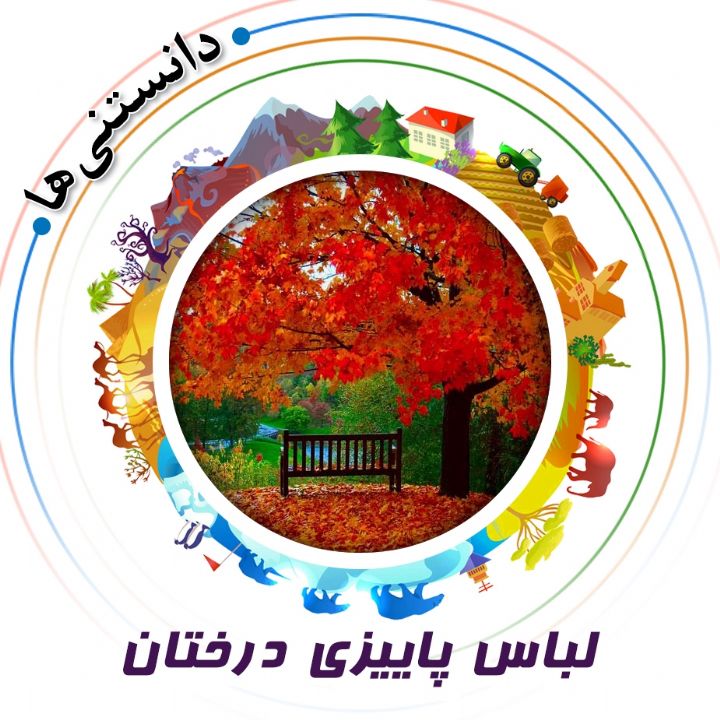 جلد کتاب صوتی لباس پاییزی درختان