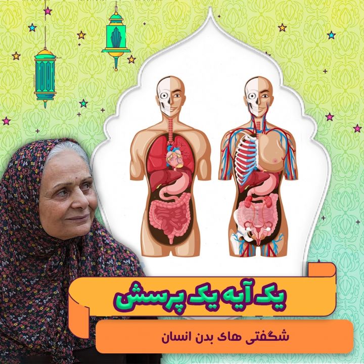 جلد کتاب صوتی شگفتی های بدن انسان