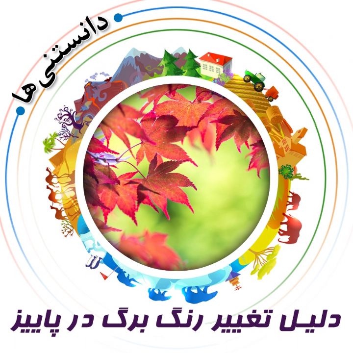 جلد کتاب صوتی دلیل تغییر رنگ برگ در پاییز