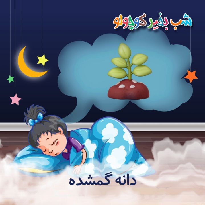 جلد کتاب صوتی دانه گمشده