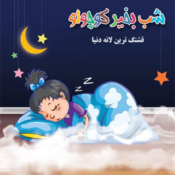جلد کتاب صوتی قشنگ ترین لانه دنیا