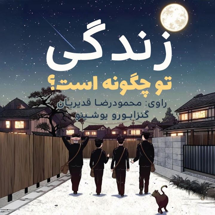 جلد کتاب صوتی زندگی تو‌ چگونه است؟