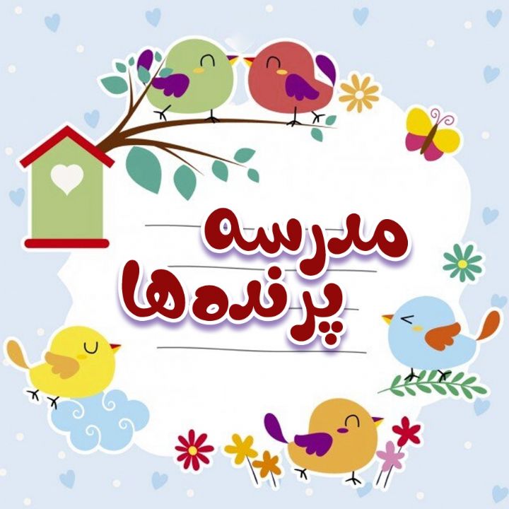 جلد کتاب صوتی مدرسه پرنده‌ها