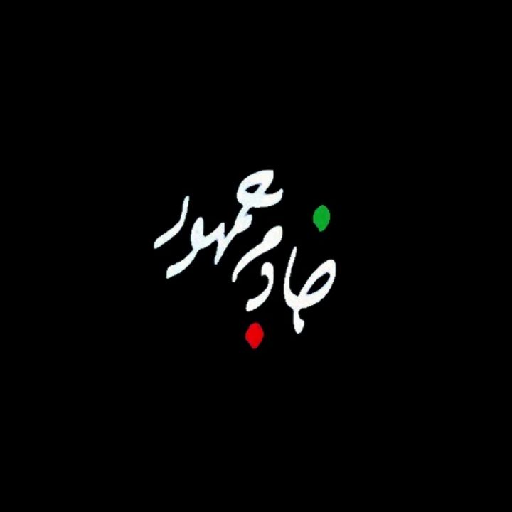 جلد کتاب صوتی خادم جمهور