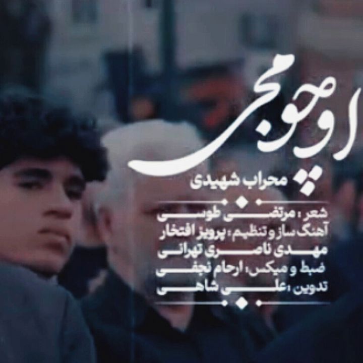 جلد کتاب صوتی اوچومجی (محراب شهیدی)
