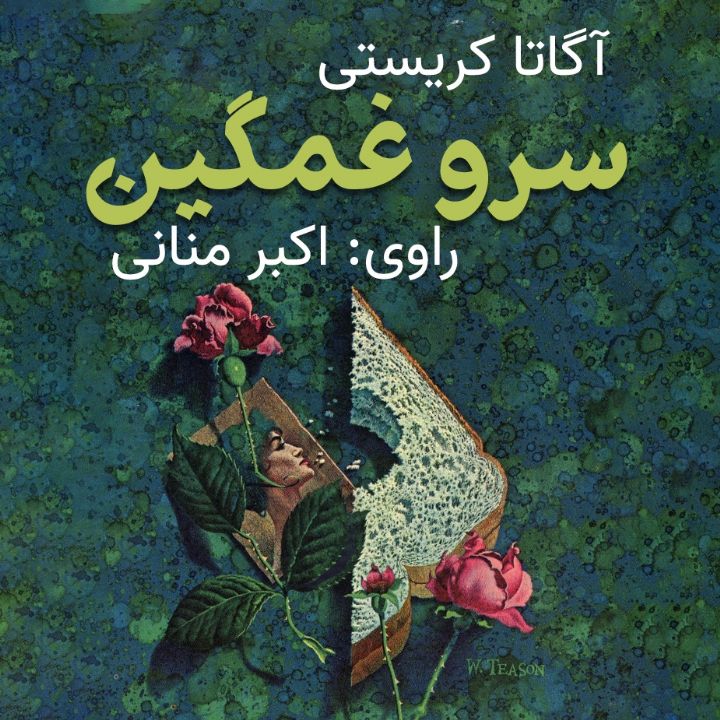 جلد کتاب صوتی سرو غمگین