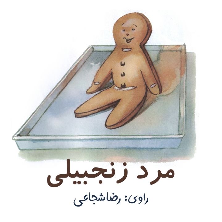 جلد کتاب صوتی مرد زنجبیلی