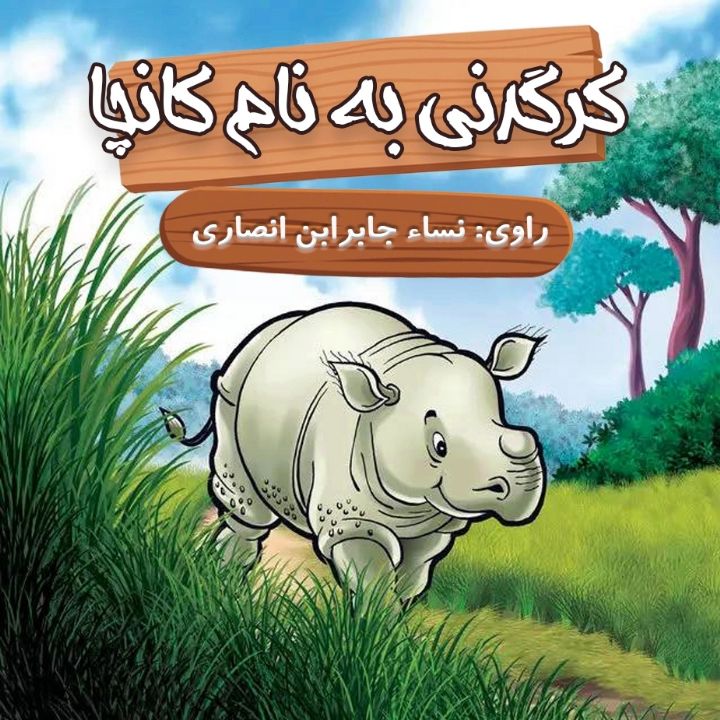 جلد کتاب صوتی کرگدنی به نام کانچا