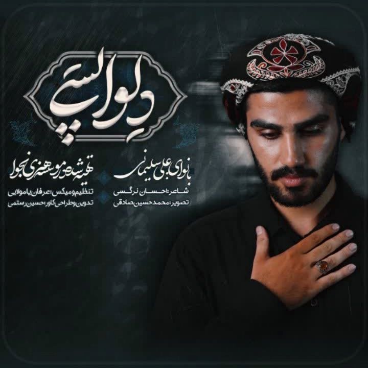 جلد کتاب صوتی دلواپسی