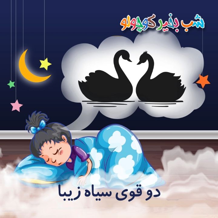 جلد کتاب صوتی دو قوی سیاه زیبا (634336)