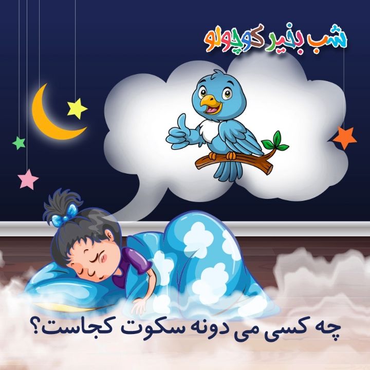 جلد کتاب صوتی چه کسی می‌ دونه سکوت کجاست؟