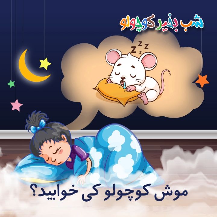 جلد کتاب صوتی موش کوچولو کی خوابید؟ (635618)