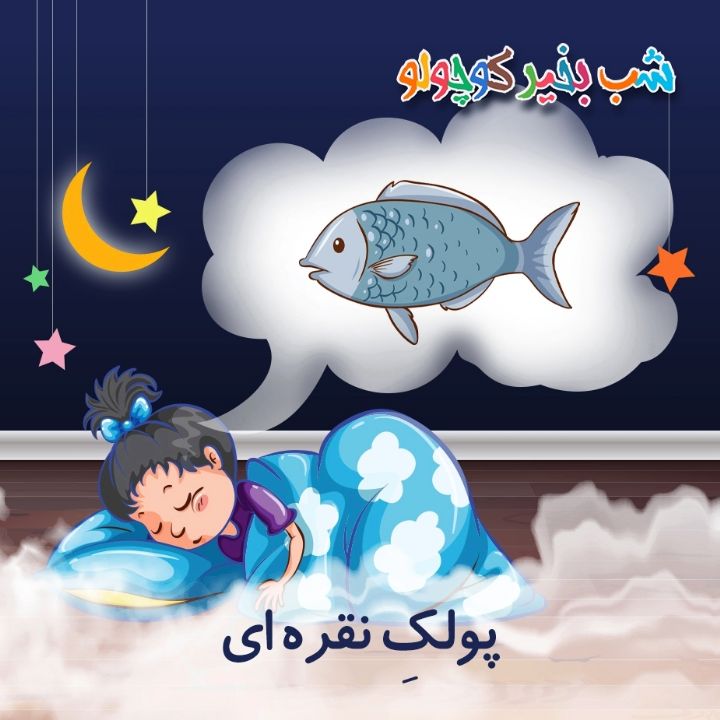 جلد کتاب صوتی پولکِ نقره‌ ای