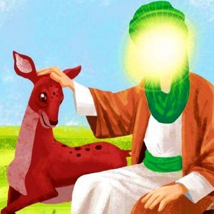 جلد کتاب صوتی امام رضا (ع) (پویا نمایی صبا، تکخوانی)