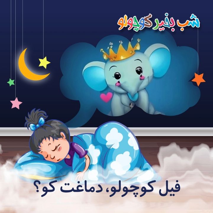 جلد کتاب صوتی فیل کوچولو، دماغت کو؟