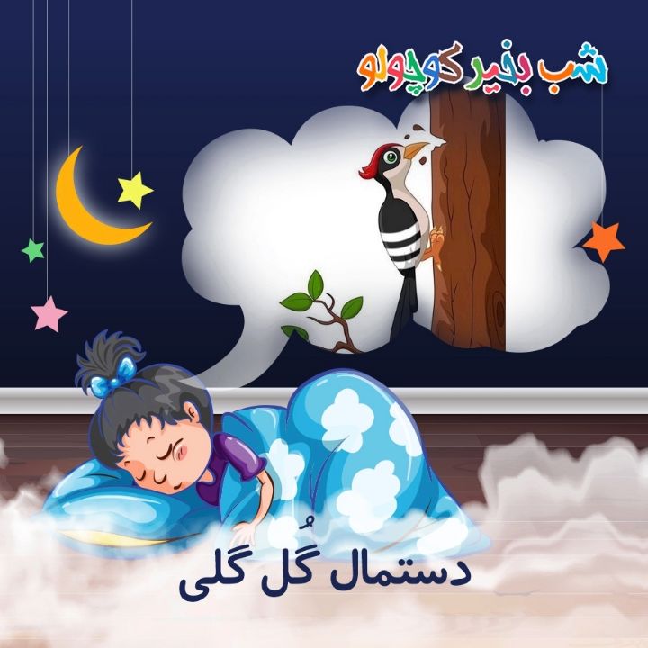 جلد کتاب صوتی دستمال گُل‌ گلی