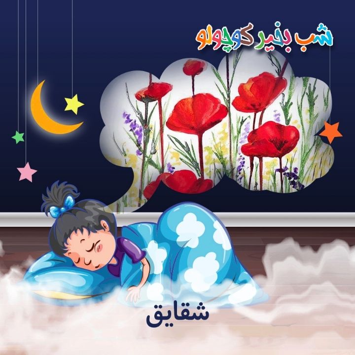 جلد کتاب صوتی شقایق (643484)