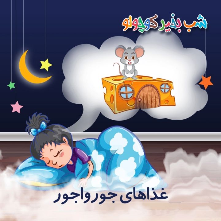 جلد کتاب صوتی غذاهای جورواجور (648772)