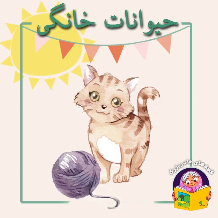 جلد کتاب صوتی حیوانات خانگی