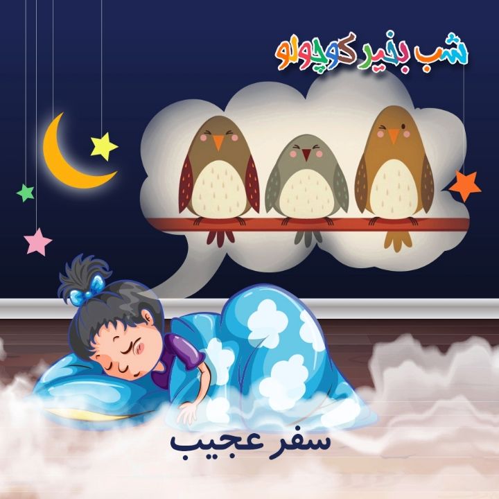 جلد کتاب صوتی سفر عجیب