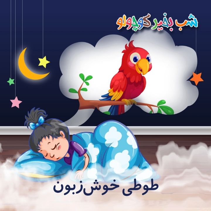 جلد کتاب صوتی طوطی خوش‌زبون