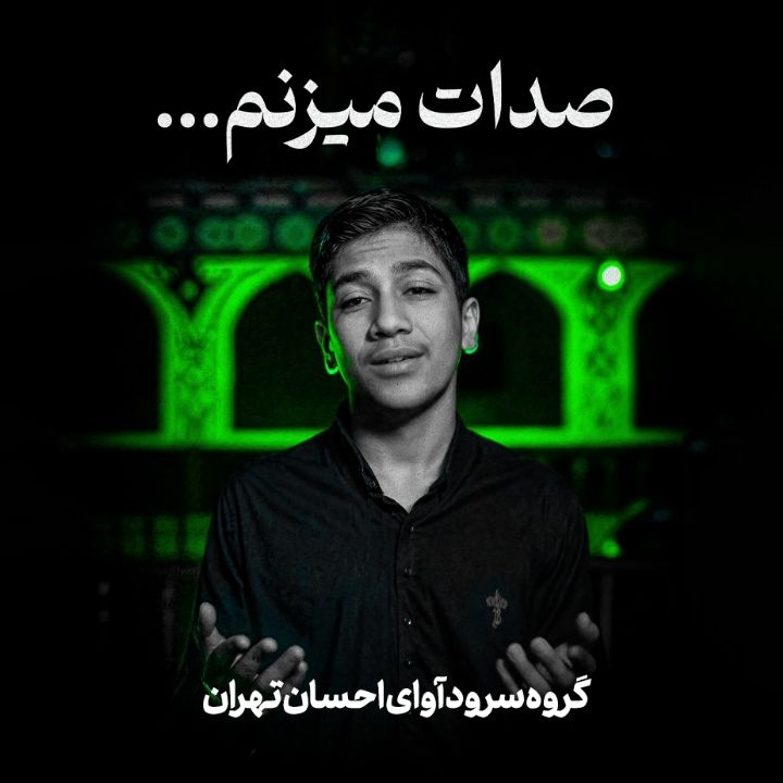 جلد کتاب صوتی صدات می زنم