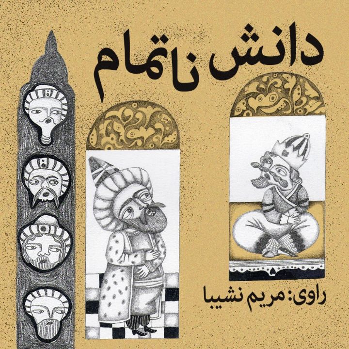 جلد کتاب صوتی دانش ناتمام