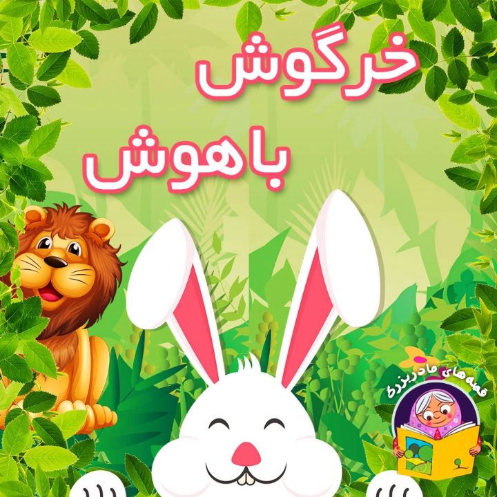جلد کتاب صوتی خرگوش باهوش