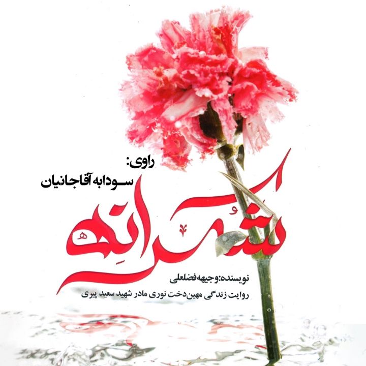 جلد کتاب صوتی شکرانه