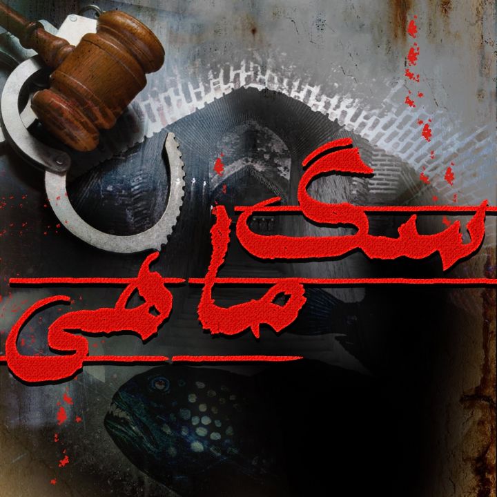 جلد کتاب صوتی سگ ماهی