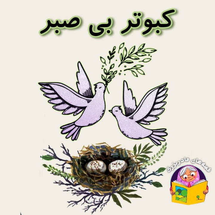 جلد کتاب صوتی کبوتر بی صبر (معصومه روحبخش)