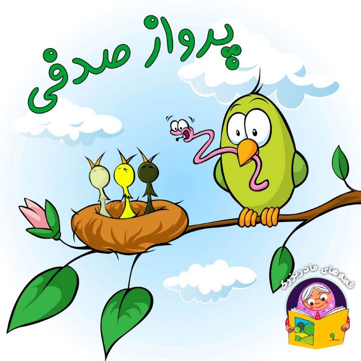 جلد کتاب صوتی پرواز صدفی