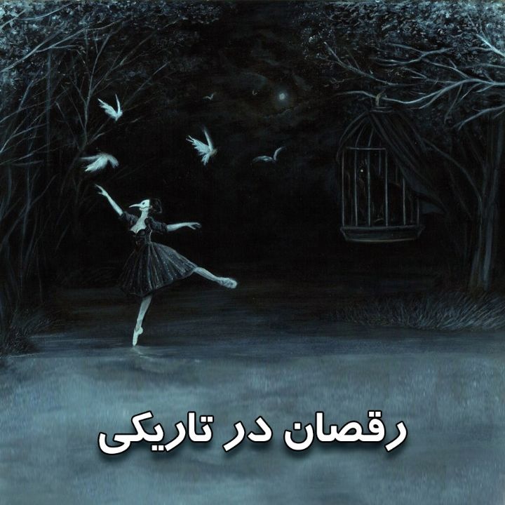 جلد کتاب صوتی رقصان در تاریکی