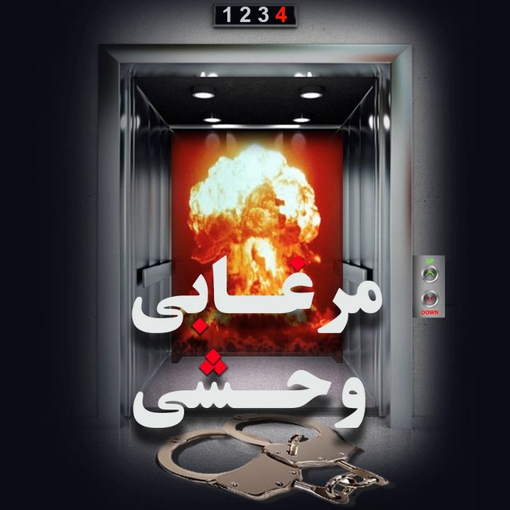 جلد کتاب صوتی مرغابی وحشی