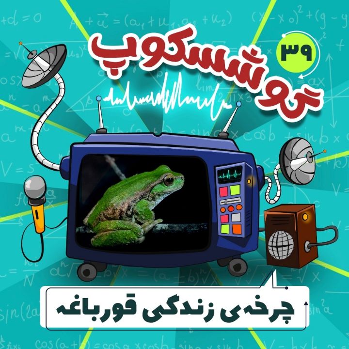 جلد کتاب صوتی چرخه‌ی زندگی قورباغه